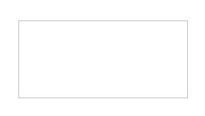 チケット定型サイズ